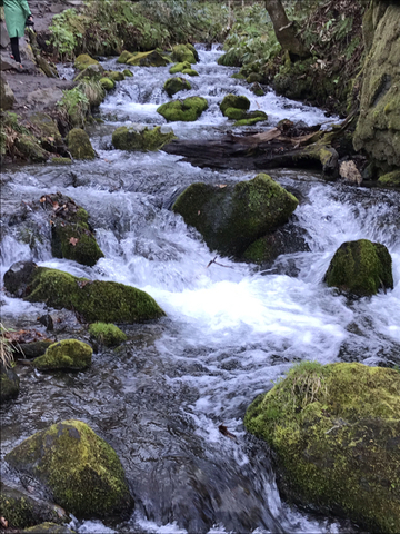 0244D394-AB58-41F4-B22B-ED8425FC49D0.jpg