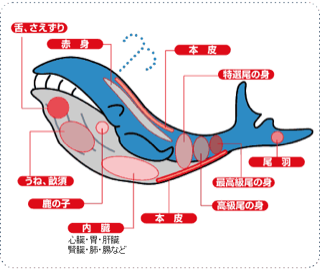 1B2668DD-18B4-4F2B-9F59-C691E32CA121.gif