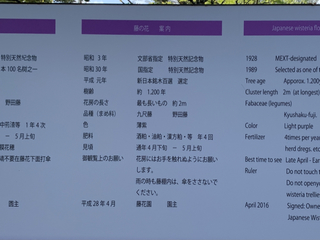 67CED720-914F-4E66-AD3A-1C570D23D235.jpg