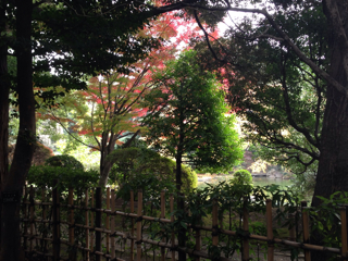 6A50581A-642D-4001-A30B-EEBDD46BCB63.jpg