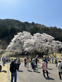 AA6F1694-C2B0-418B-83DE-4D100B085B4D.jpg