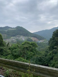 AFFFC71C-7194-47AA-B466-F90D8AEE0CE1.jpg