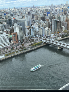 B52AE68C-9CA0-4BFB-9605-DED9B8D14AD7.jpg