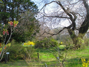 CIMG0344.JPG