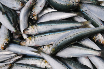 food_147_05l CV.jpg