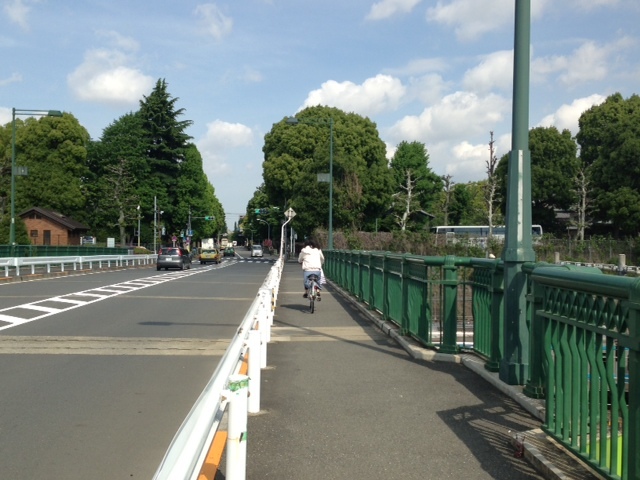 image (37).jpeg
