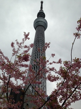image (4).jpeg