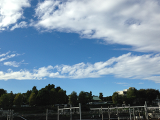 image-20131016142614.png