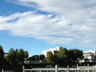 image-20131016142633.png