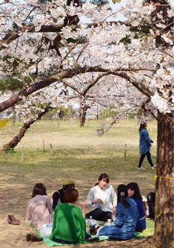 image-20140326074417.png