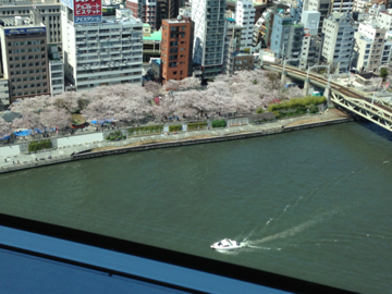 image-20140404122943.png
