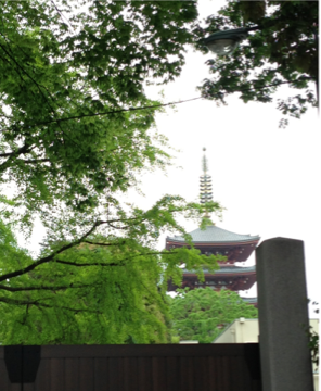 image-20140429155353.png